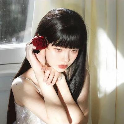 高贵的领主